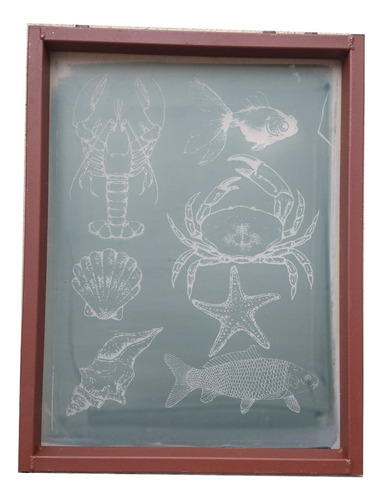 Grabado De Shablones-serigrafia, Oferta! Blanco