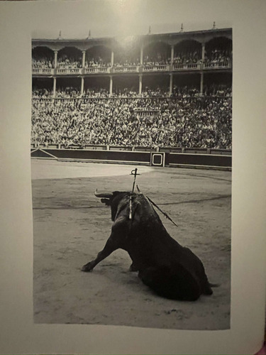 Toro Ramon Masats Joaquin Vidal La Fiesta De Los Toros (Usado)