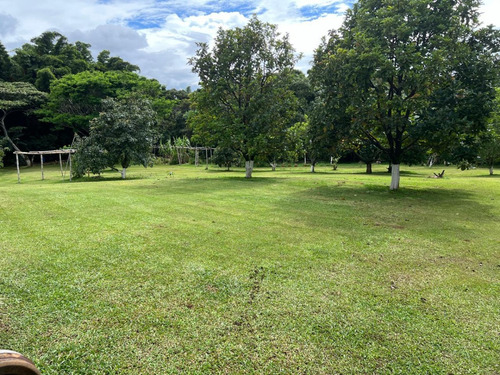 Venta De Casa En Barva Con Lote De 7011 Metros2 Planos Y Arboles Frutales