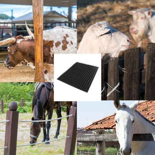 Cepillos De Vaca Para Rascar Cepillo Para Rascar Ganado Cepi