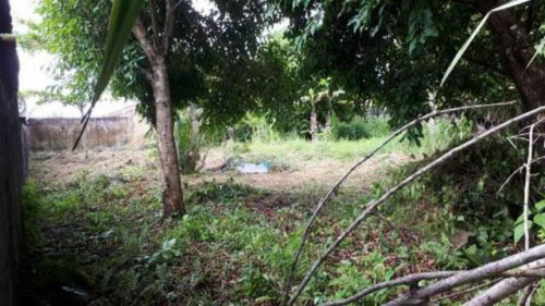 Bom Terreno Perto Do Mar No Cibratel 2 - Itanhaém 5236 | Npc