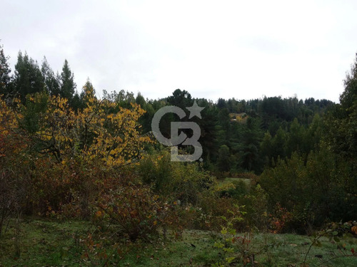 Parcela De Agrado Con Plantación De Eucaliptus | Osorno