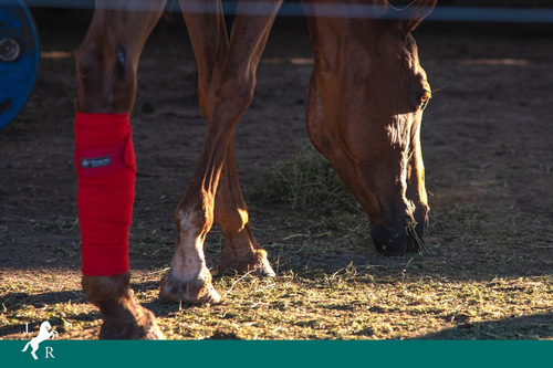 Imagen 3 de 14 de Excelente Lote En Estancia La Rinconada!!