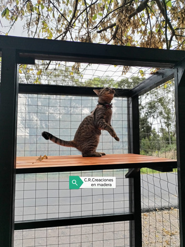 Gatera Jaula Para Gatos Catios