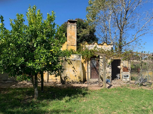 Imagen 3 de 11 de Venta De Chacra 5 Ha En Montevideo Rural