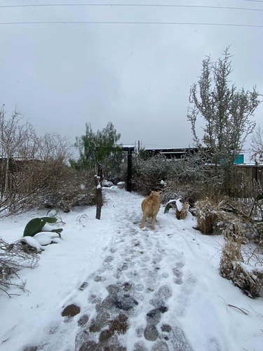 Agosto $75000 Cabañas De Montaña Mendoza