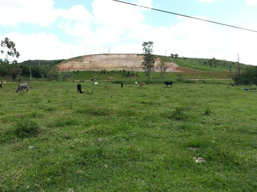 Área Com 20.000 M² No Jd. Colonia Em Jacareí-sp - A21 - 34619797