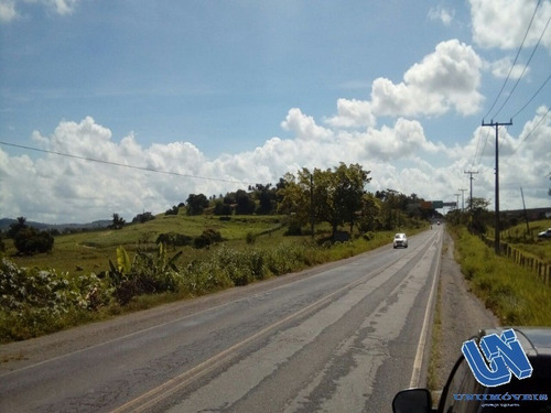 Imagem 2 de 14 de Fazenda Com 118 Tarefas Em São Sebastião Do Passé - Bahia - Afd046 - 70528054
