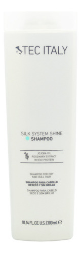 Tec Italy Silk System Shine Shampoo Cabello Reseco X 300ml