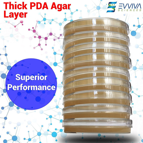 Potato Dextrose Agar Plates - Evviva Sciences - Prepoured Po