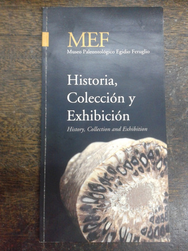 Historia Coleccion Y Exhibicion * Museo Paleontologico Mef