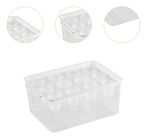 Caja De Hidropónico, Contenedor De Plantación De
