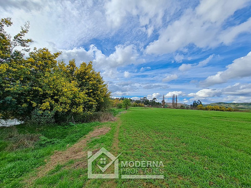 Campo 78 Ha En Traiguén Entre Rios