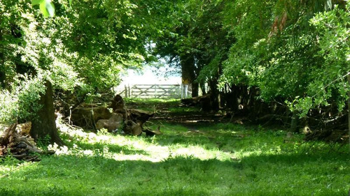 Imagen 7 de 25 de Campo En Venta En Lezama - 530 Has. Ideal Turismo Rural Con Laguna. Pesca - Retasado