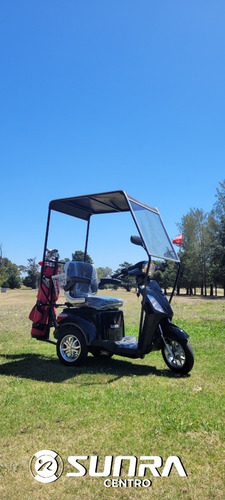 Imagen 21 de 25 de Triciclo Eléctrico - Golf Con Techo Y Soporte Para Bolsa / G