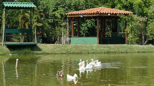 Chácara Com 4 Dormitórios À Venda, 5100 M² Por R$ 3.500.000,00 - Chácara Polaris - Indaiatuba/sp - Ch0698