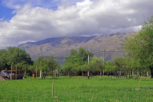 Imagen 1 de 14 de Venta De Lotes En Merlo San Luis Arroyo El Tigre Oportunidad