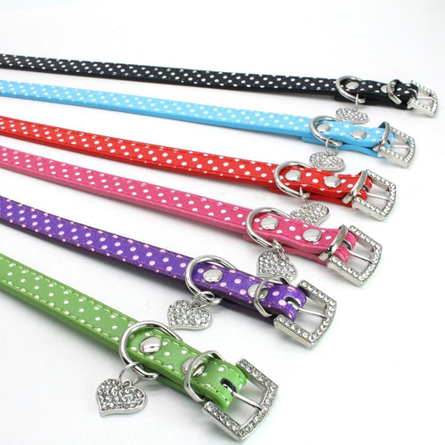 Collar De Perro Mascota L