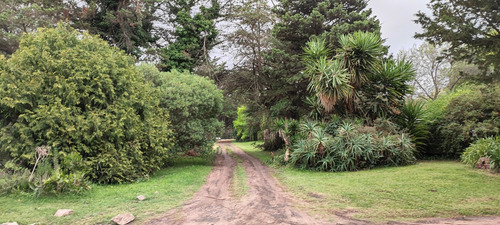 Imagen 5 de 13 de Lote B° Copacabana Con Escritura Sobre Av Suipacha De 400 Mts2