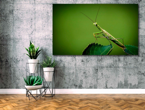 Cuadro Vanguardista Canvas  Mantis Religiosa En Verde 142x94