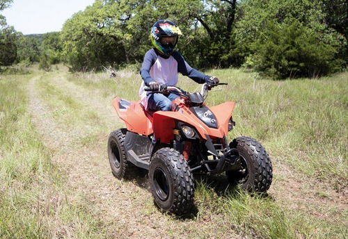 Imagem 3 de 5 de Quadriciclo Can-am Ds 90cc 2022 - Pronta Entrega Em Até 60x