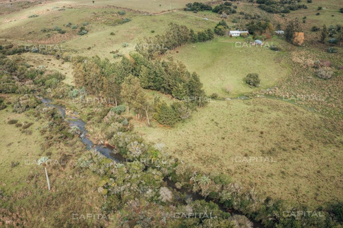Imagen 6 de 15 de Chacra En Venta En Las Cañas - Zona Rural Las Cañas