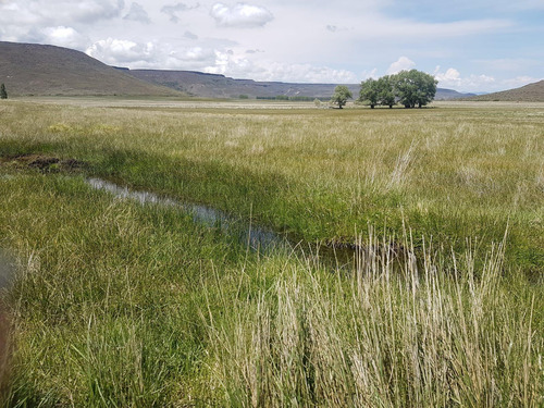 Estancia Manantiales De Collón Cura - Patagonia Argentina