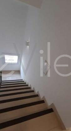 Imagem 29 de 30 de Casa À Venda Em Bairro Das Palmeiras - Ca007328