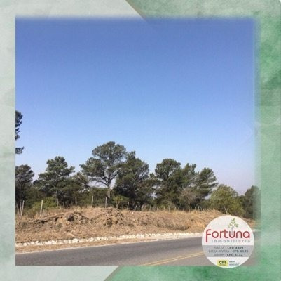 Hectárea Comercial