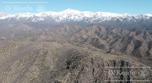 Imagen 8 de 30 de Campo En Venta En Tupungato De 30000 Has - Viñedos De Altura - Nogales - Desarrollo Inmobiliario