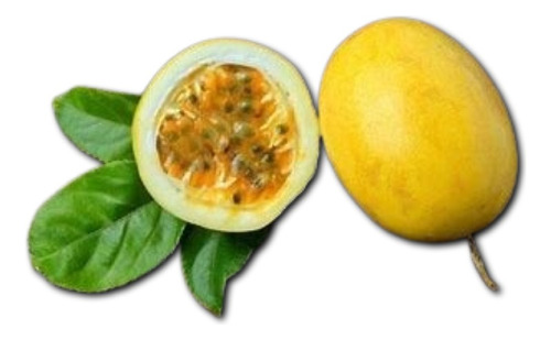 Maracuya Amarillo Enredadera Pasionaria Passiflora Edulis