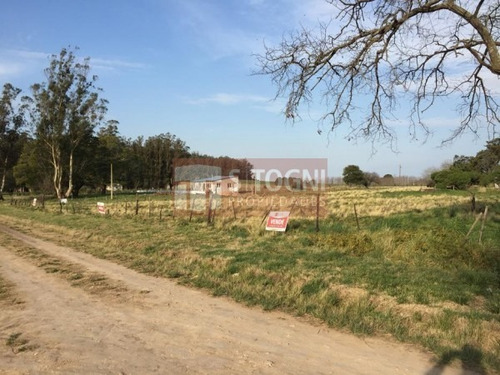 Imagen 1 de 10 de Venta Terrenos En Los Pinos !!