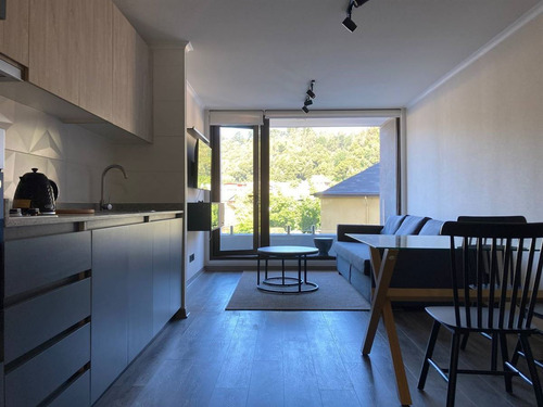 Departamento En Arriendo De 1 Dorm. En Concepción