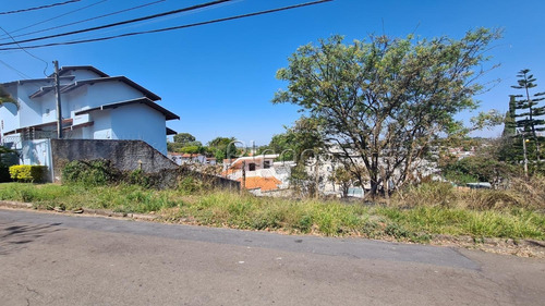Imagem 3 de 9 de Terreno À Venda Em Jardim Das Paineiras - Te025307
