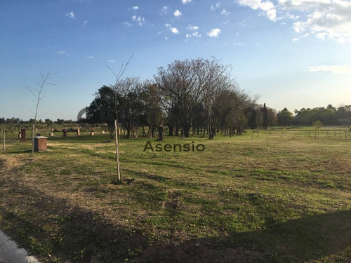 Imagen 22 de 25 de Lote Central Venta San Ramon Pilar Del Este Oportunidad