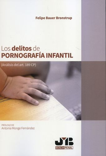 Libro Delitos De Pornografía Infantil, Los