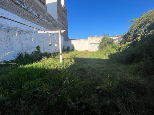 Venta Inmuebles Santo Tome - Casa, Locales Comerciales Y Galpón