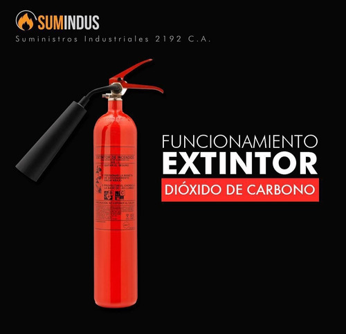 Extintor Co2 10 Libras 