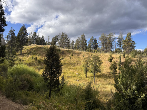Terreno En Trevelin