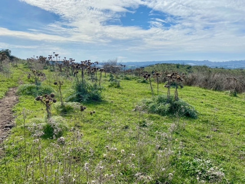 Se Vende Terreno Con Vista Privilegiada