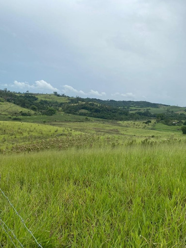 Imagem 12 de 30 de G06-lotes Para Morar Com Sua Família Em Jacareí