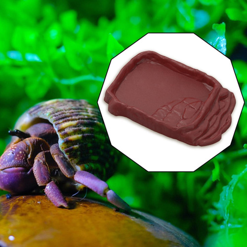 Alimentador De Alimentos De Répteis Anti Deslizamento De S