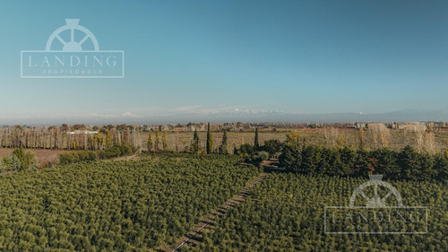 Finca Teberni En Mendoza