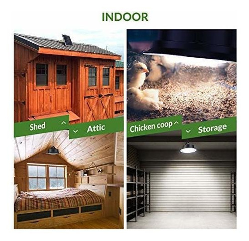 Pendant Powered Shed Light Dusk To Dawn Lm Ft Cord Ip With