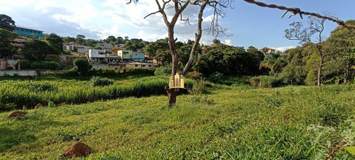 Imagem 5 de 7 de Lote Em Novo Retiro - Esmeraldas - Te00496 - 70634713