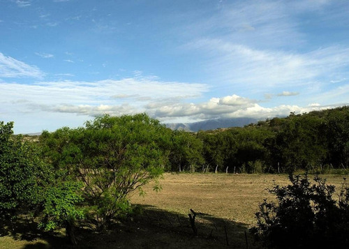 Imagen 3 de 25 de Excelente Campo Nativo De 103ha La Venta En Ojo De Agua!