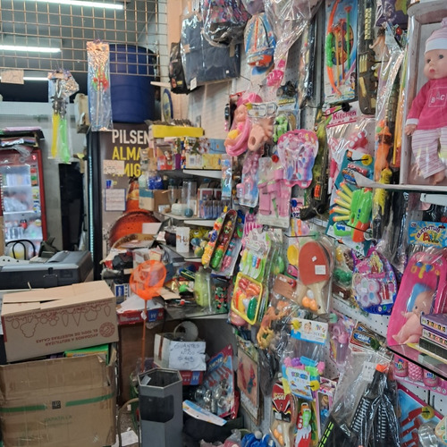 Comercio En Muy Buena Zona