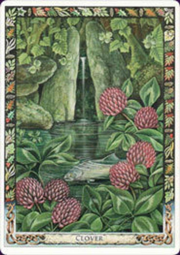 The Druid Plant Oracle Brinde Cartas Caminho Sagrado
