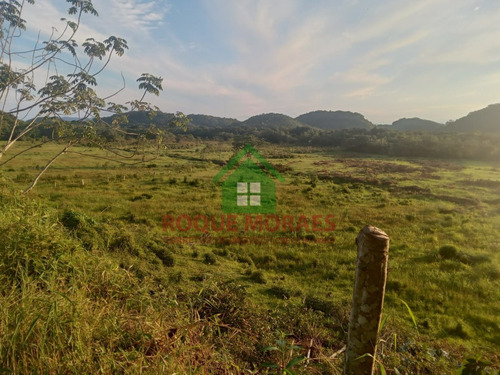Imagem 12 de 29 de Sítio À Venda No Vale Do Ribeira Sp Medindo 30 Alqueires Paulista Ref 0990