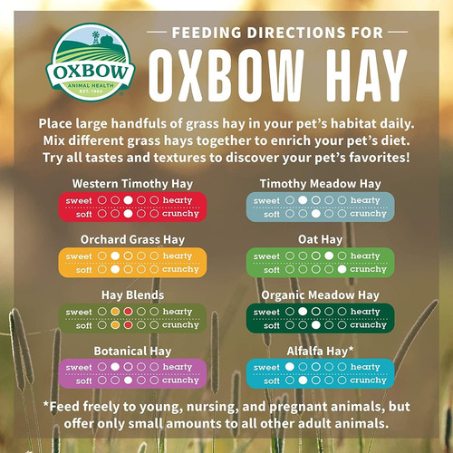 Oxbow Animal Health Organic Meadow Hay - All Natural Hay For